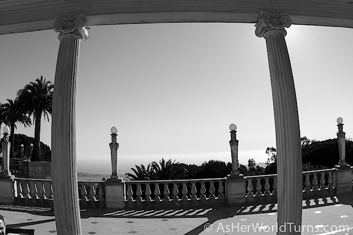 IMG_2914.jpg