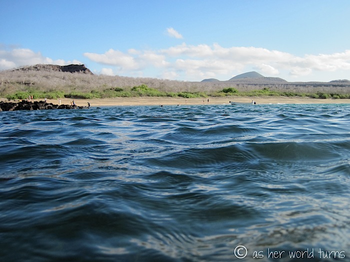 UnderWaterCameraGalapagos 097.jpg