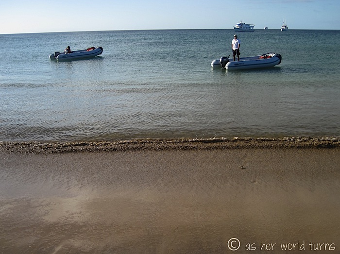 UnderWaterCameraGalapagos 107.jpg