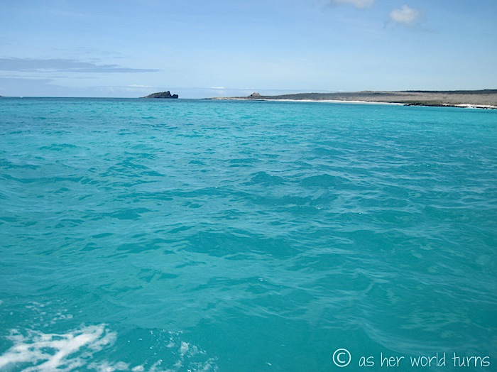 UnderWaterCameraGalapagos 188.jpg