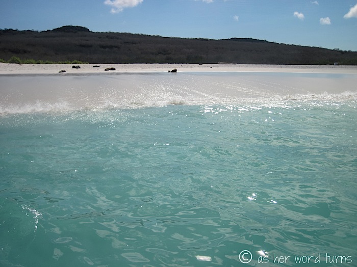 UnderWaterCameraGalapagos 191.jpg