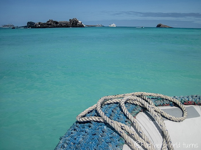 UnderWaterCameraGalapagos 192.jpg