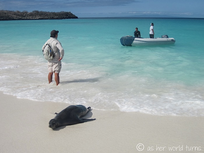 UnderWaterCameraGalapagos 197.jpg