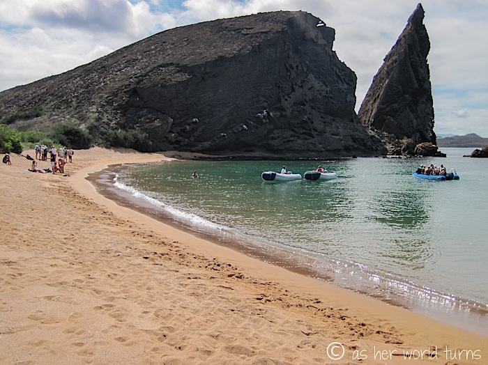 UnderWaterCameraGalapagos 391.jpg