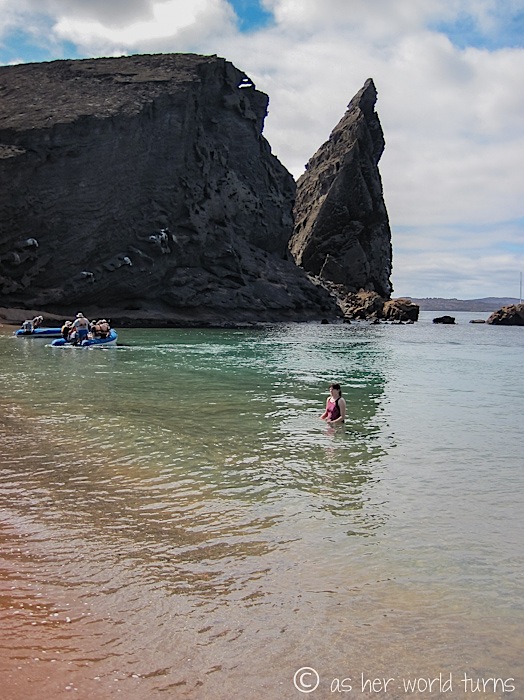 UnderWaterCameraGalapagos 397.jpg