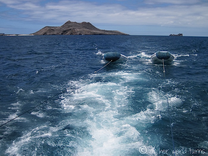 UnderWaterCameraGalapagos 004.jpg