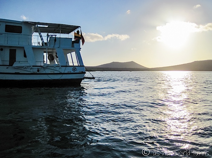 UnderWaterCameraGalapagos 133.jpg