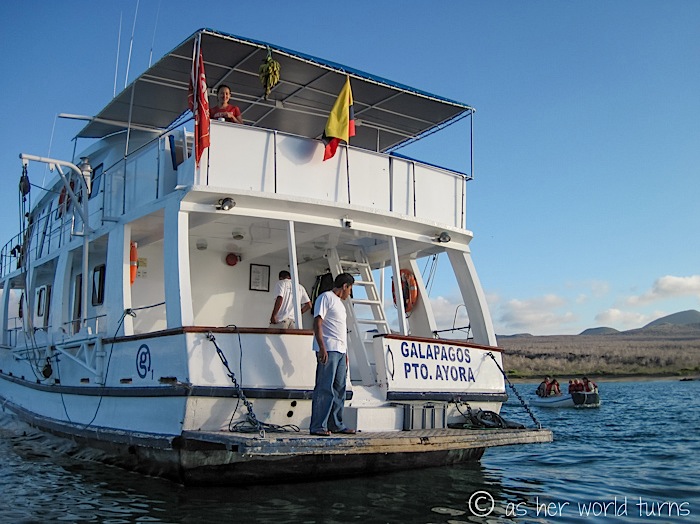 UnderWaterCameraGalapagos 134.jpg