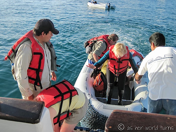 UnderWaterCameraGalapagos 136.jpg