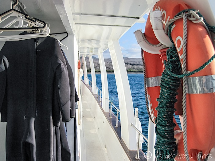 UnderWaterCameraGalapagos 138.jpg