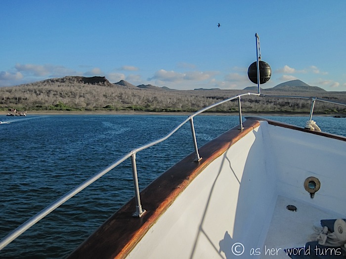 UnderWaterCameraGalapagos 139.jpg