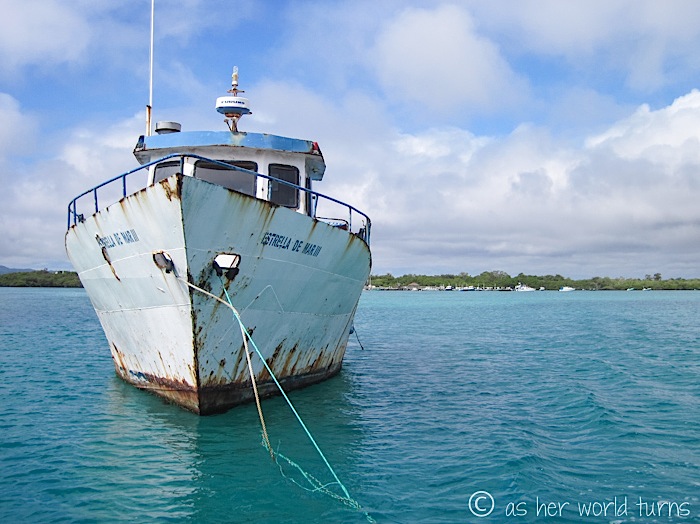 UnderWaterCameraGalapagos 485.jpg