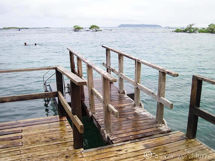 UnderWaterCameraGalapagos 556.jpg