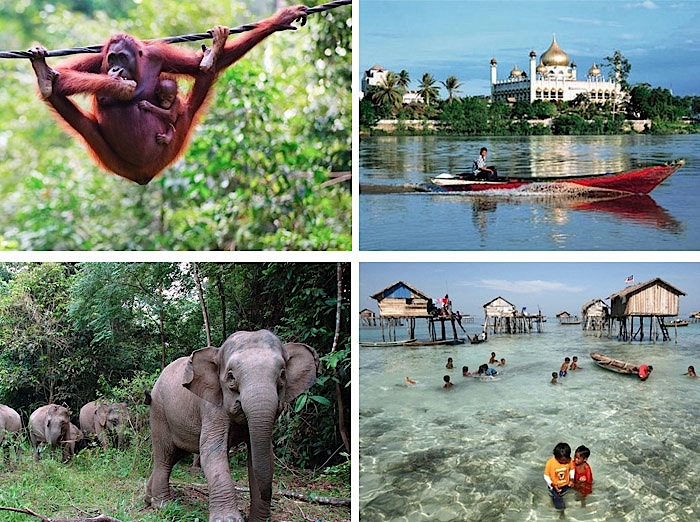 borneo.jpg