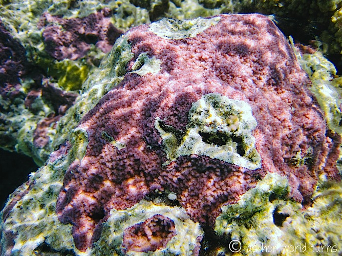 IMG_0413.jpg