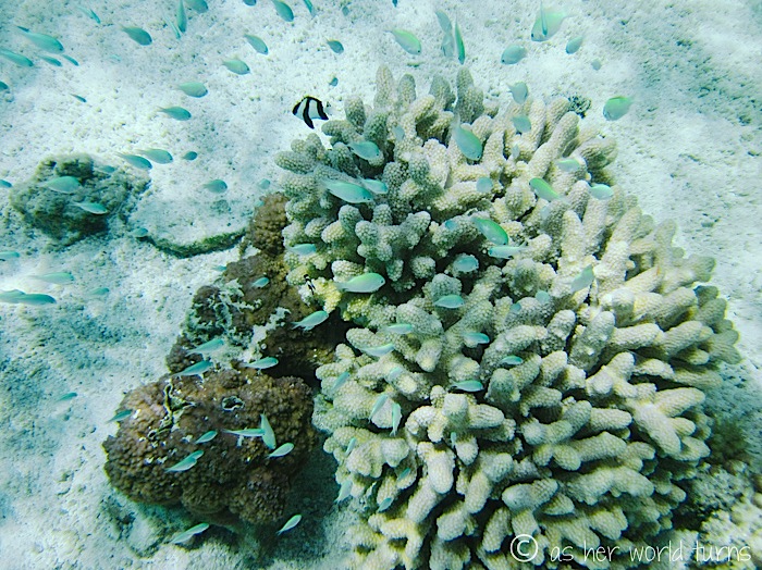 IMG_0416.jpg