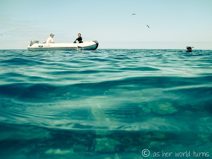 UnderWaterCameraGalapagos 080.jpg