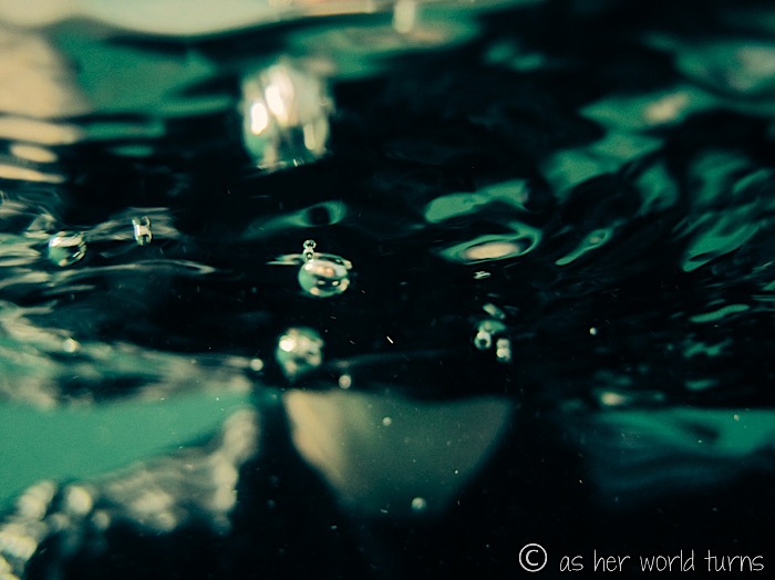 UnderWaterCameraGalapagos 099.jpg