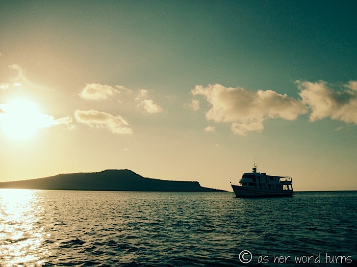 UnderWaterCameraGalapagos 130.jpg