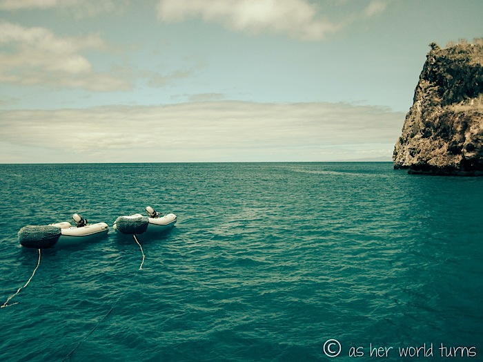 UnderWaterCameraGalapagos 150.jpg