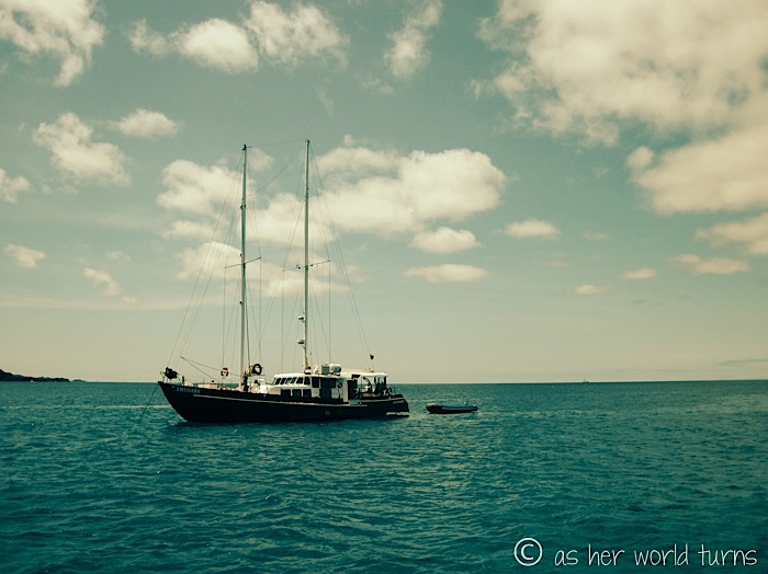 UnderWaterCameraGalapagos 151.jpg