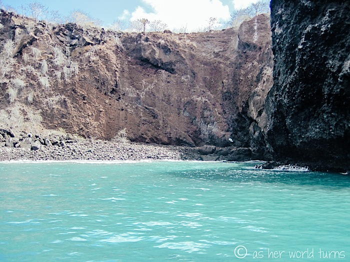 UnderWaterCameraGalapagos 152.jpg