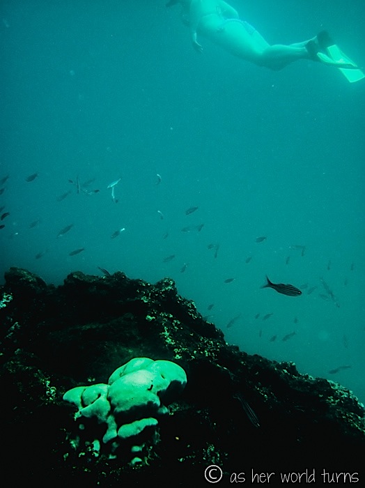 UnderWaterCameraGalapagos 325.jpg