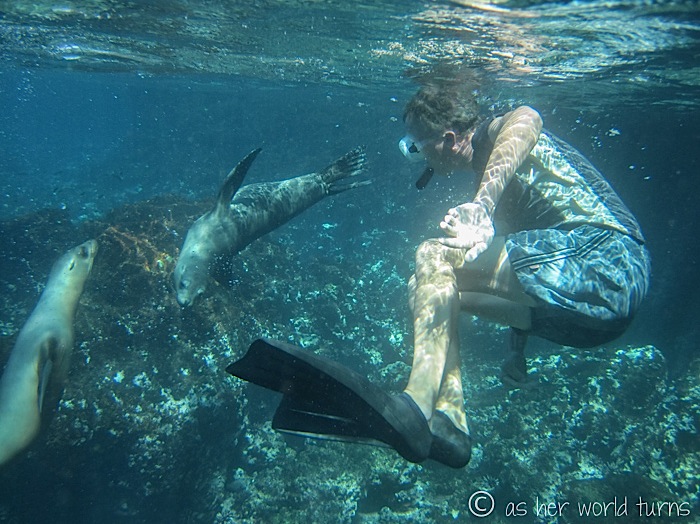 UnderWaterCameraGalapagos 472.jpg