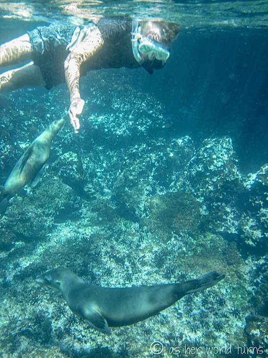 UnderWaterCameraGalapagos 473.jpg