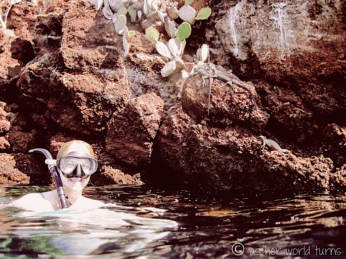 UnderWaterCameraGalapagos 474.jpg