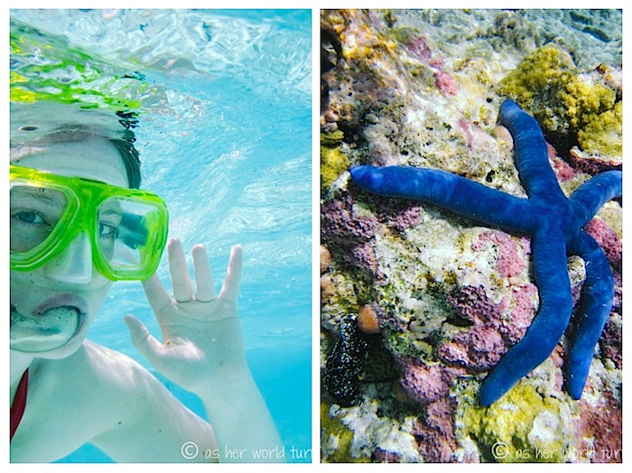 snorkel3.jpg