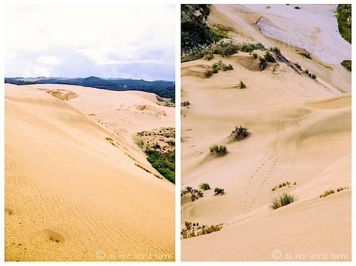 sand6.jpg