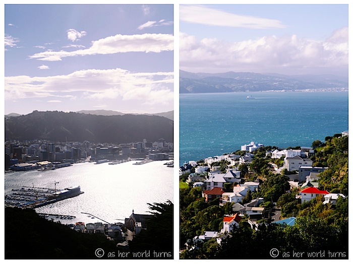 wellington1.jpg