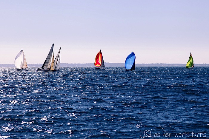 IMG_5400.jpg