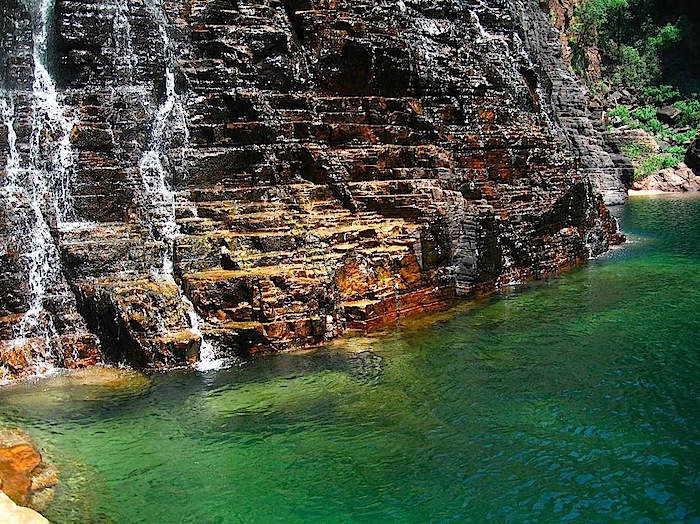 kakadu.jpg