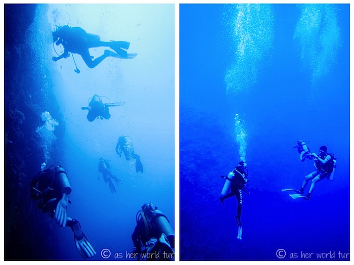 underwaterpalau1.jpg