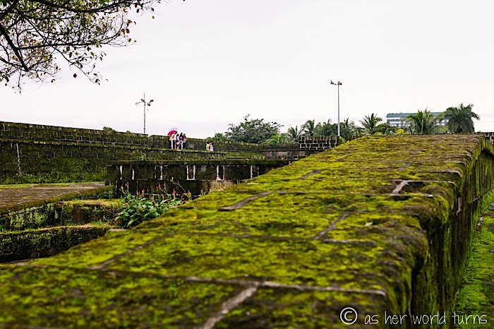 IMG_6008.jpg