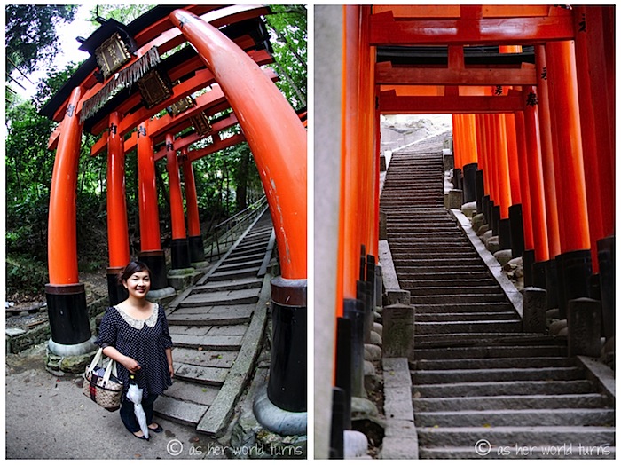 fushimi1.jpg