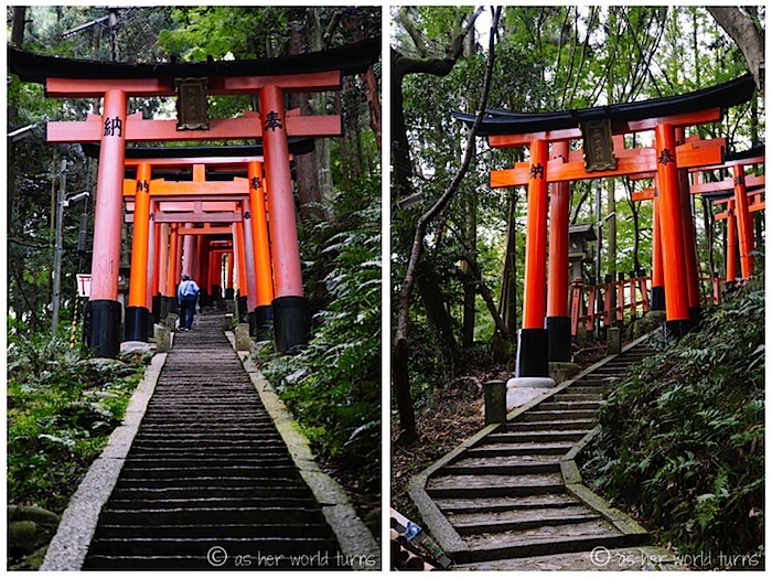 fushimi2.jpg