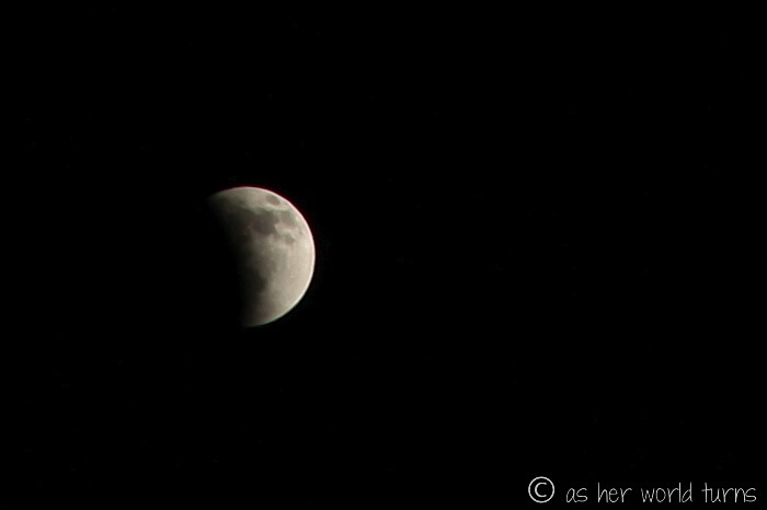 IMG_5221.jpg