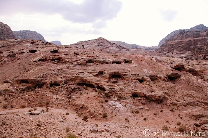 IMG_8459.jpg