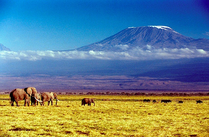 Kilimanjaro-1.jpg