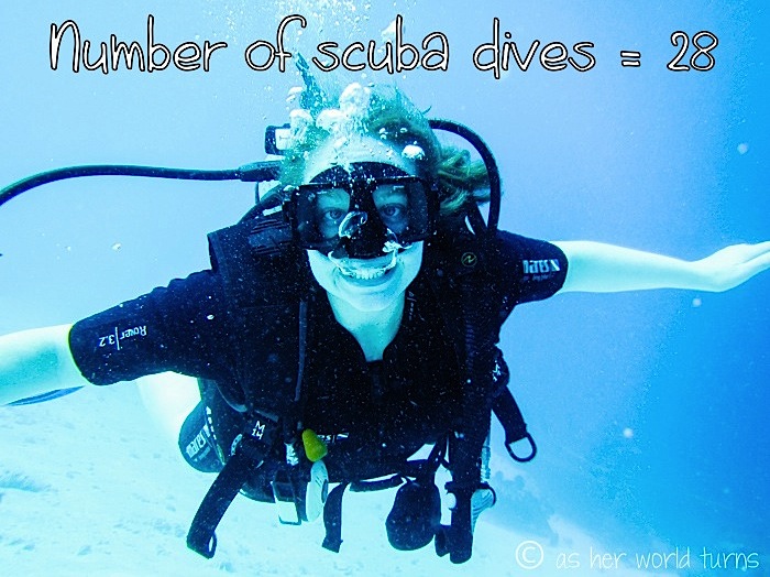 13_dives.jpg