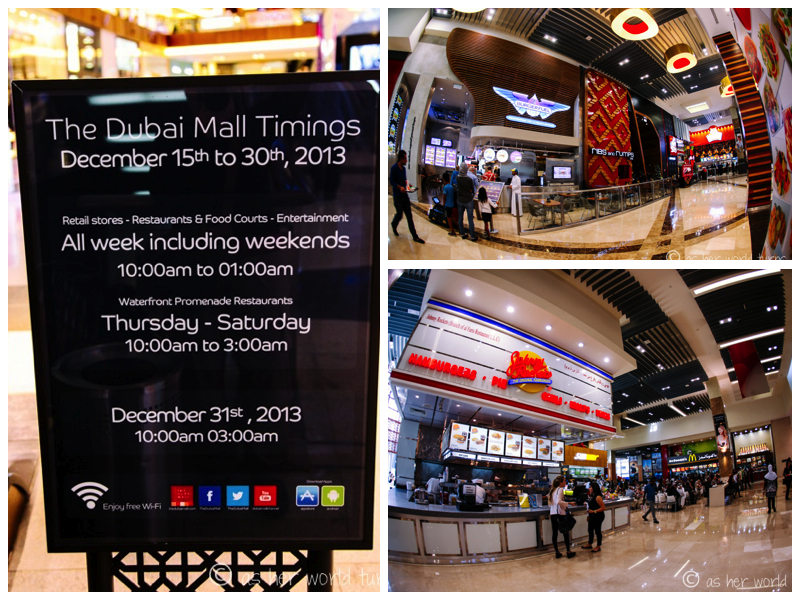 DubaiMall2