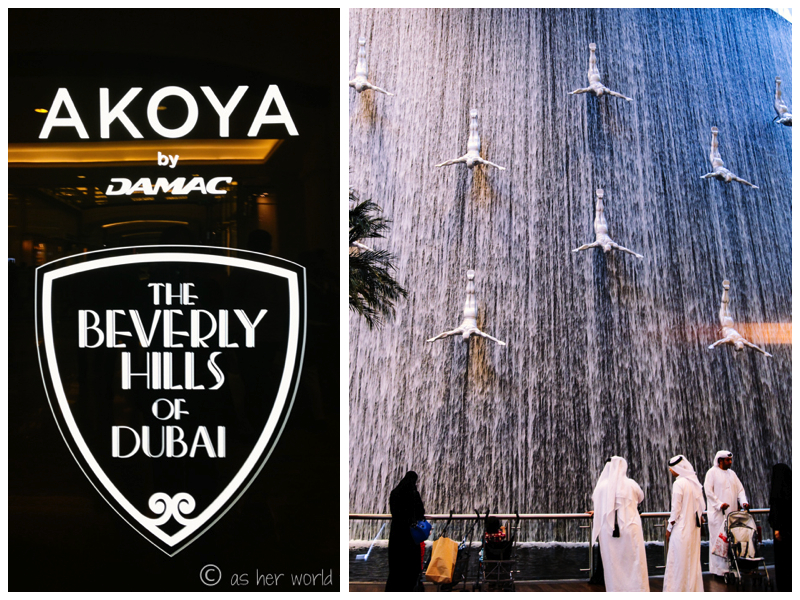 DubaiMall7
