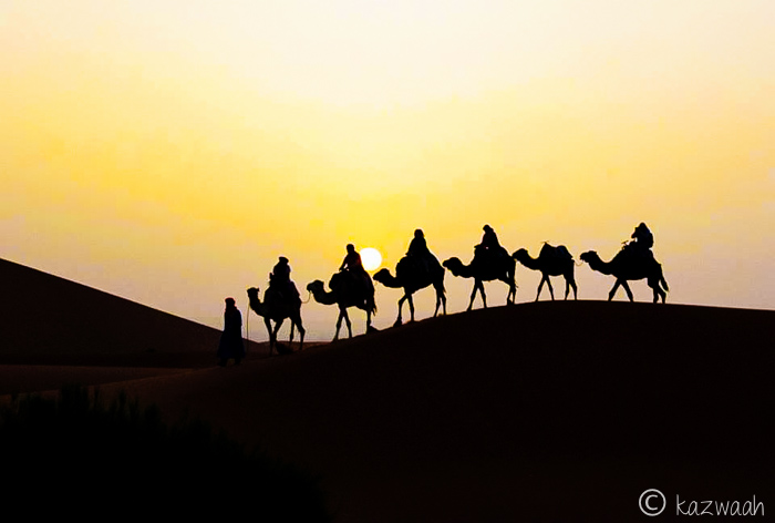 10418184_10204508154128518_8844828764560459166_n-3