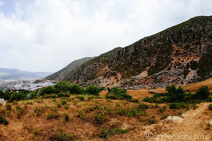 IMG_0816.jpg