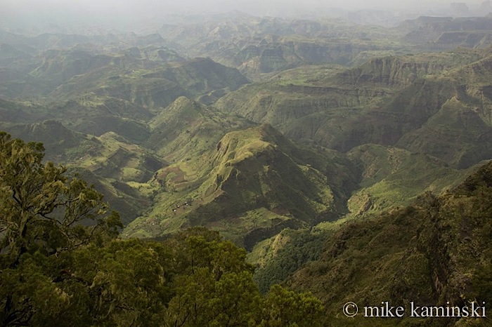 Simien1.jpg