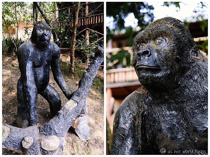 gorillalakebunyoni1.jpg