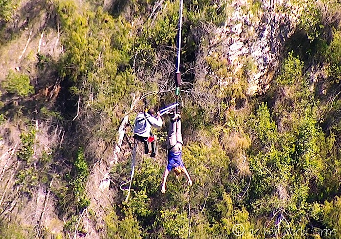 Bungy22.jpg